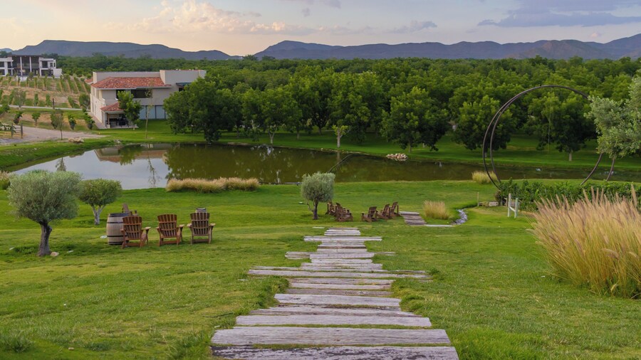 Pueblo Vinícola Parvada by Lumina