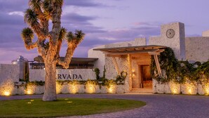 Un bâtiment moderne avec une façade en pierre, un grand arbre devant et l’inscription « RVA DA » sur le mur.
