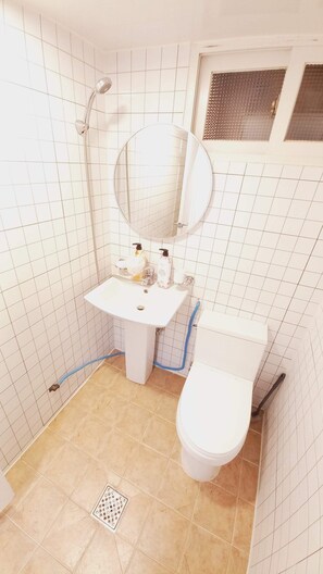 A small bathroom with a white sink, a mirror, a toilet, and a shower.