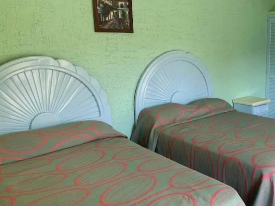 Una habitación con dos camas con cabeceros blancos, paredes verdes y un cuadro en la pared.