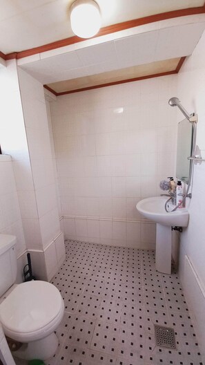 Shower, hair dryer, slippers, towels - 1975 Yurim Inn (Seoul)