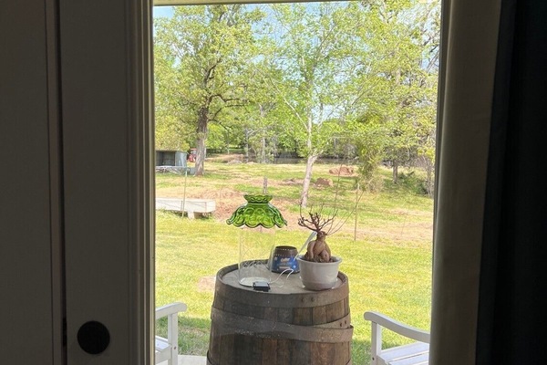Pond View from Back patio