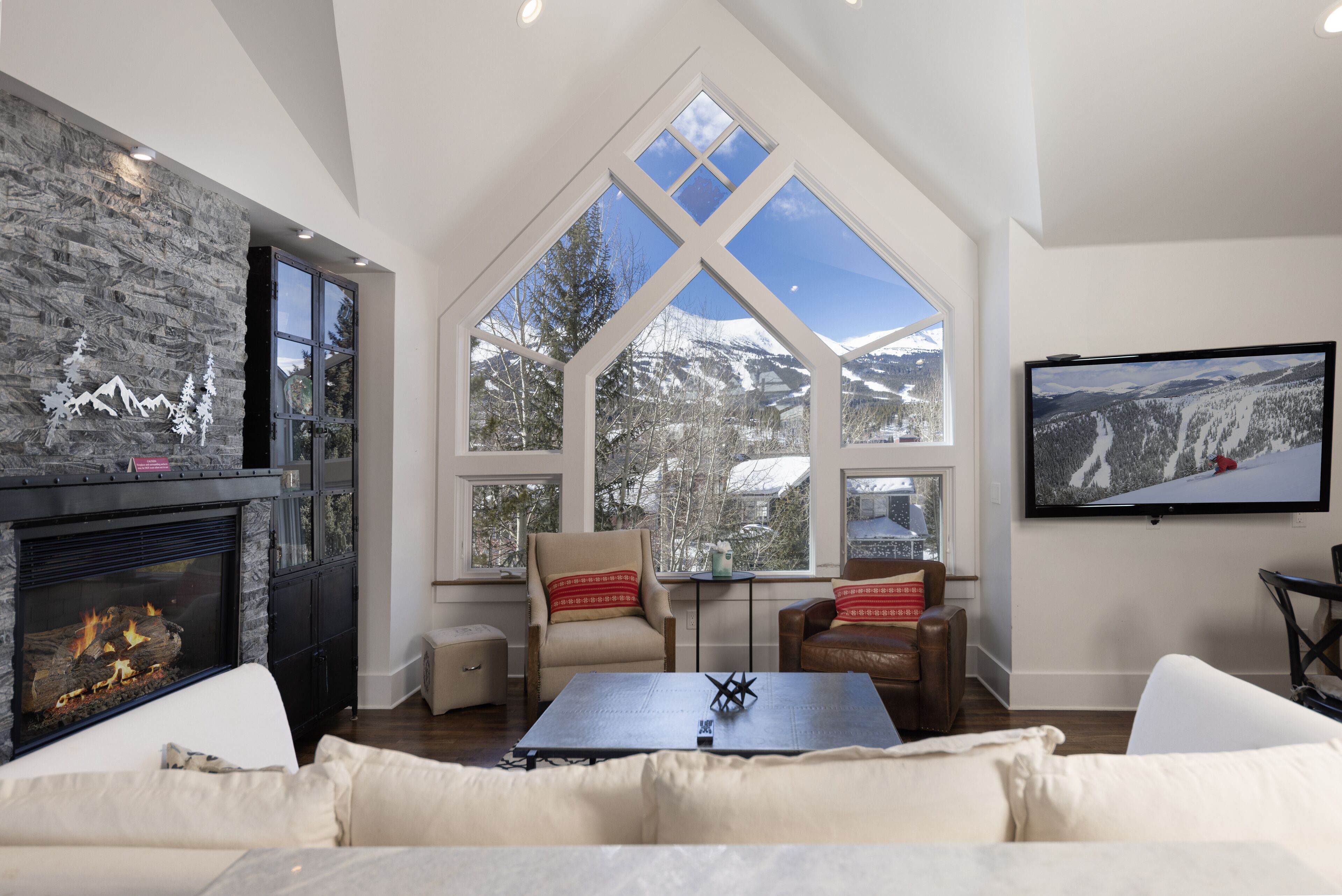 TV, caminetto, lettore DVD, videoteca