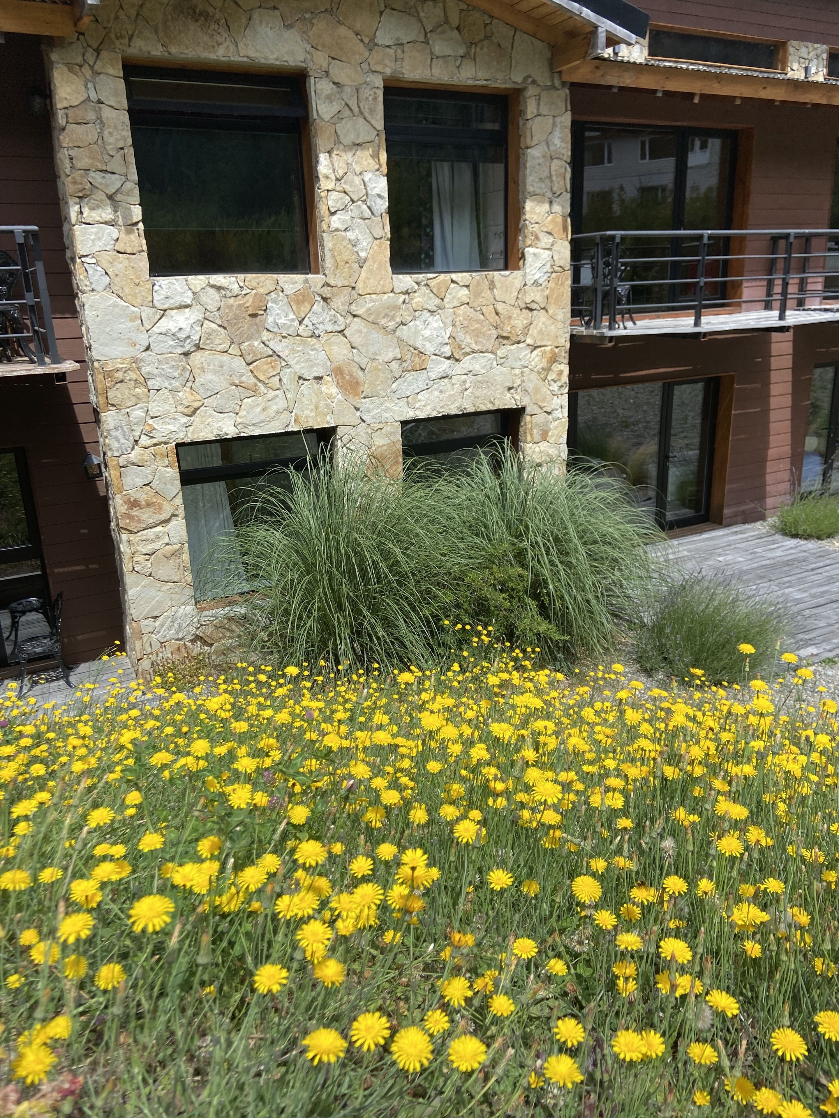 A stone building with a balcony and a flower bed with yellow flowers.