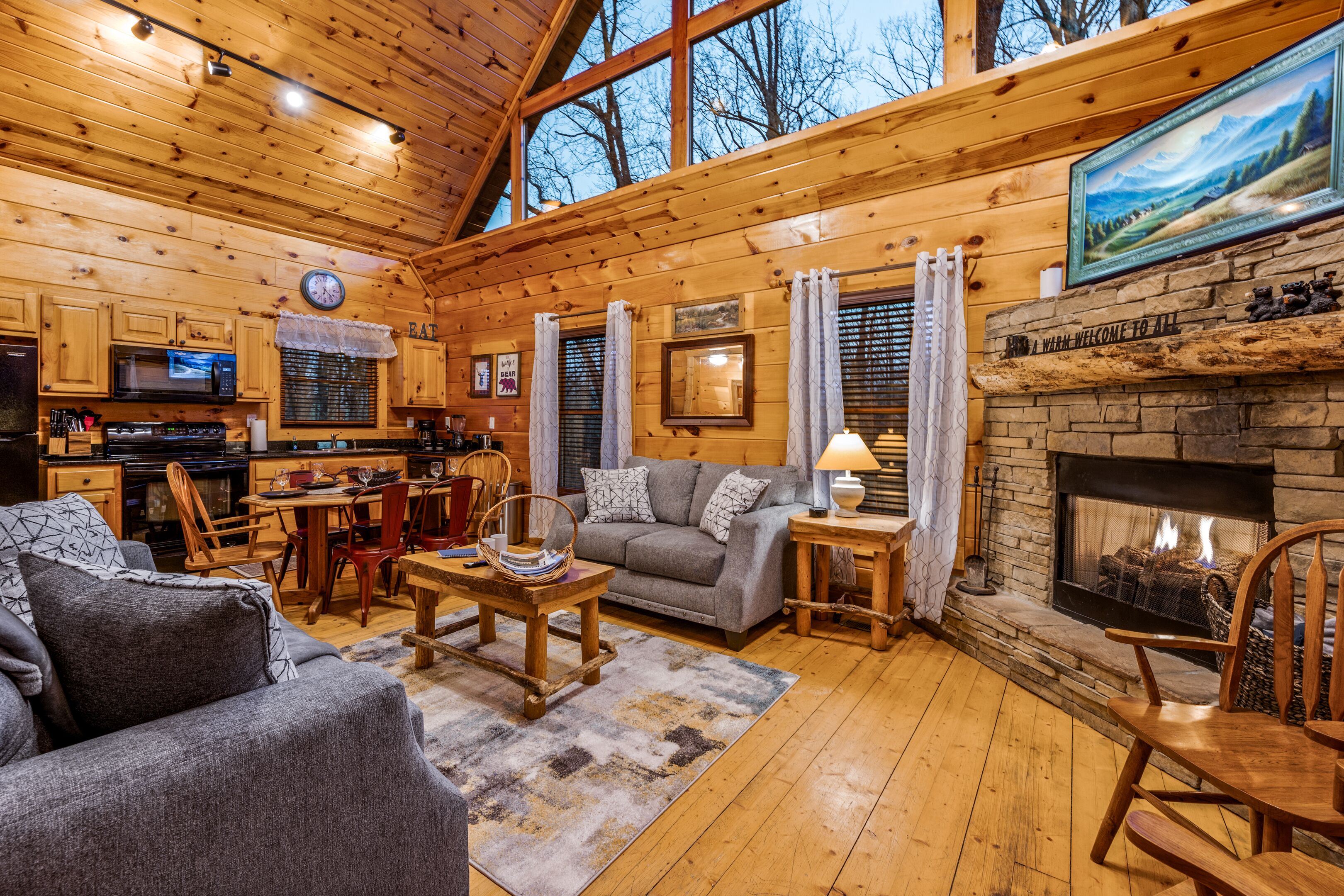 Smart TV, fireplace, books