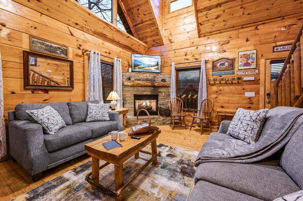 Smart TV, fireplace, books