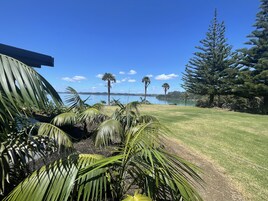 Zona verde con palmeras y vistas a un lago y montañas a lo lejos.