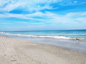 A beach with a clear sky and calm sea.
