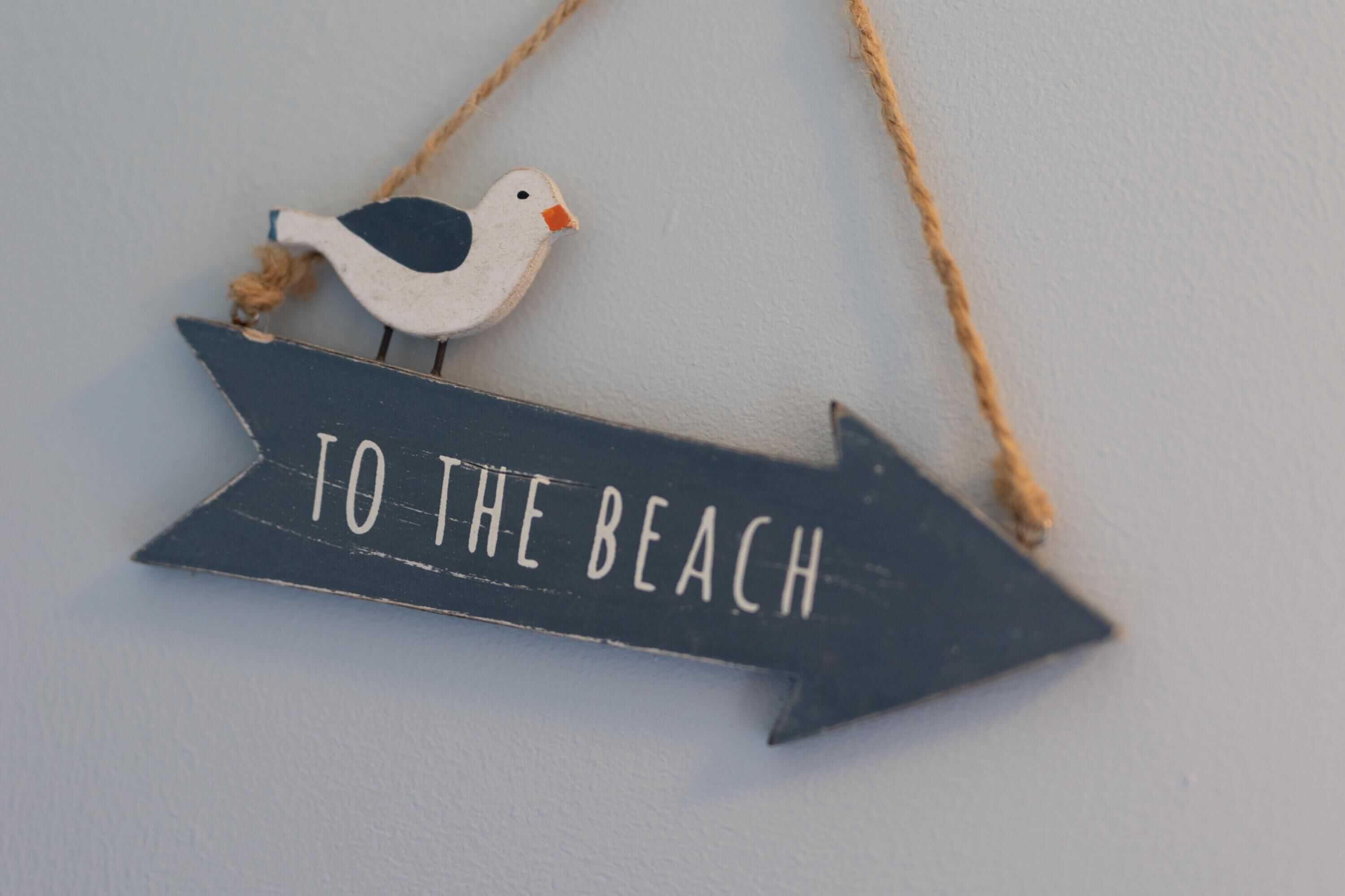 Un panneau de signalisation indiquant la direction, avec une image d’oiseau et l’inscription « VERS LA PLAGE ».