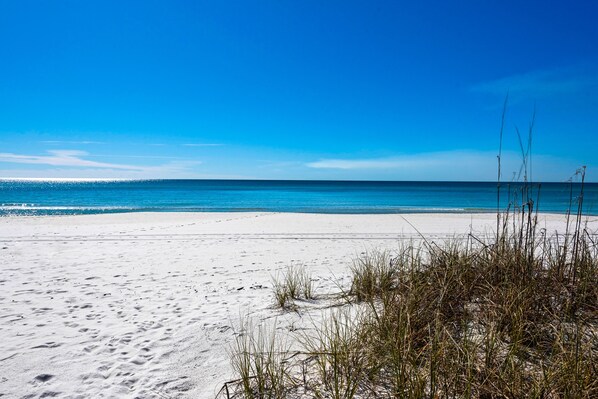 Nära stranden