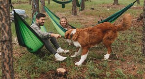 Pet-friendly