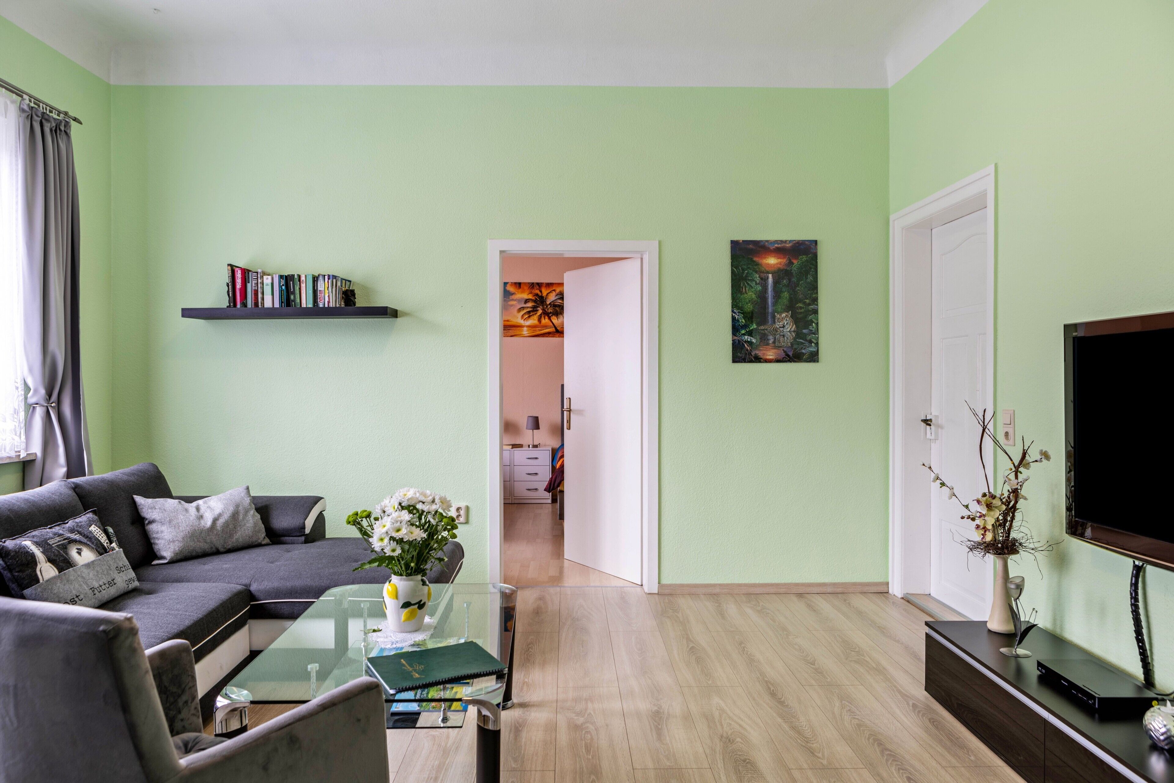 TV, lettore DVD, tavolo da ping pong