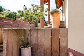 Une plante en pot ornée de fleurs, posée sur une clôture en bois, un grand bac rempli de verdure et, au fond, un mur de briques.