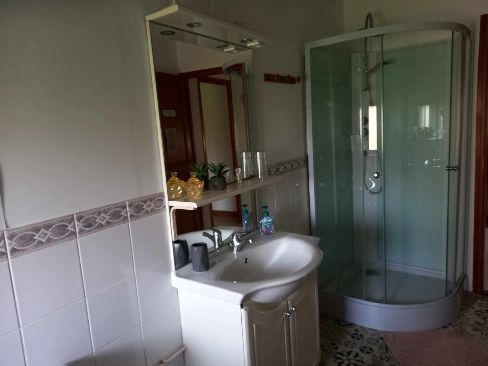 Shower, hair dryer, towels, toilet paper