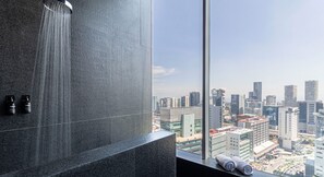 Regadera, secadora de cabello, toallas