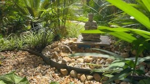 Un jardin agrémenté d’une statue de Bouddha, entouré de différentes plantes tropicales et de petits galets.