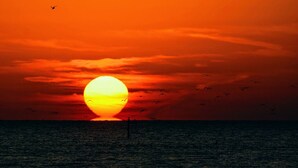 Een zonsondergang boven het water, met een grote zon en vogels in de lucht.