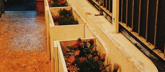 Tra Pagine e Comfort: Residenza Bibliososta ..rinnovato Febbraio 2024