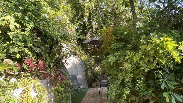 Un sentier de jardin bordé de différentes espèces de plantes et agrémenté d’un espace pour s’asseoir.