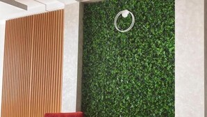Un interior moderno con dos sillones de terciopelo rojo, un muro de listones de madera y una pared cubierta de follaje verde.