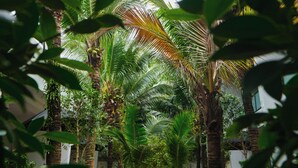 Deluxe Suite, Garden View | Teres/patio