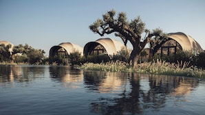 A series of dome-shaped buildings with large windows, surrounded by trees and a body of water. - 91 Athens Riviera, The Resort (Vari-Voula-Vouliagmeni)