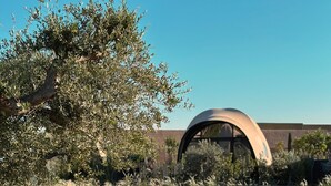 A modern bridge with a curved design over a body of water, surrounded by greenery and a clear sky. - 91 Athens Riviera, The Resort (Vari-Voula-Vouliagmeni)