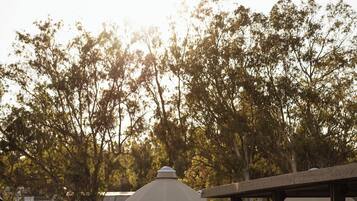Un sendero en un jardín con estructuras esféricas, un estanque y abundante vegetación.