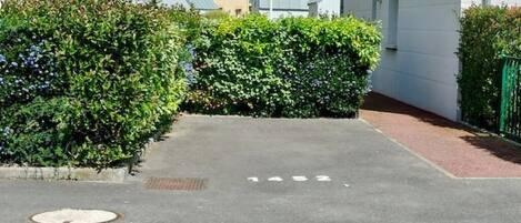 A paved driveway leading to a building with a metal roof.