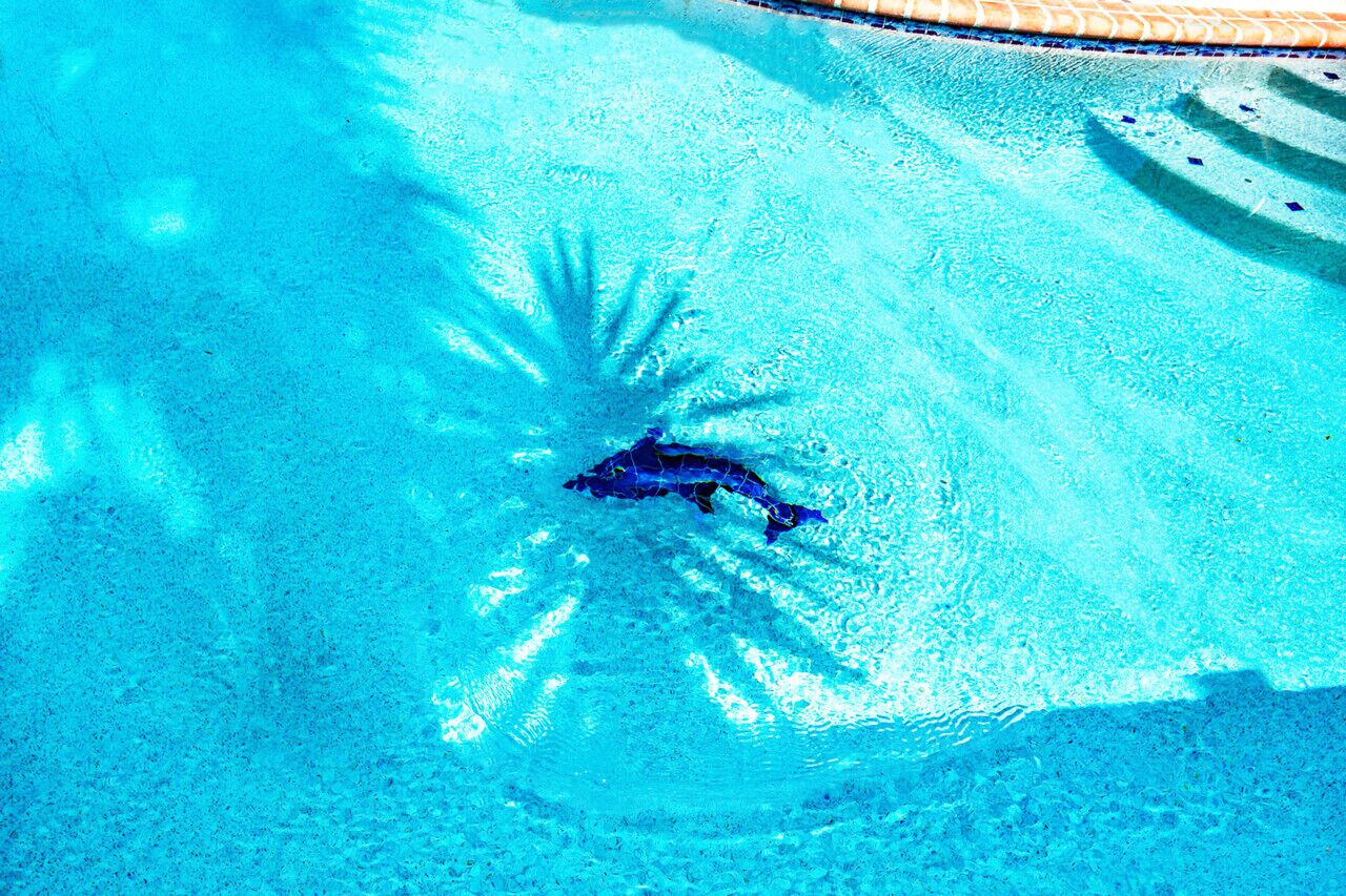 Utomhuspool och uppvärmd pool