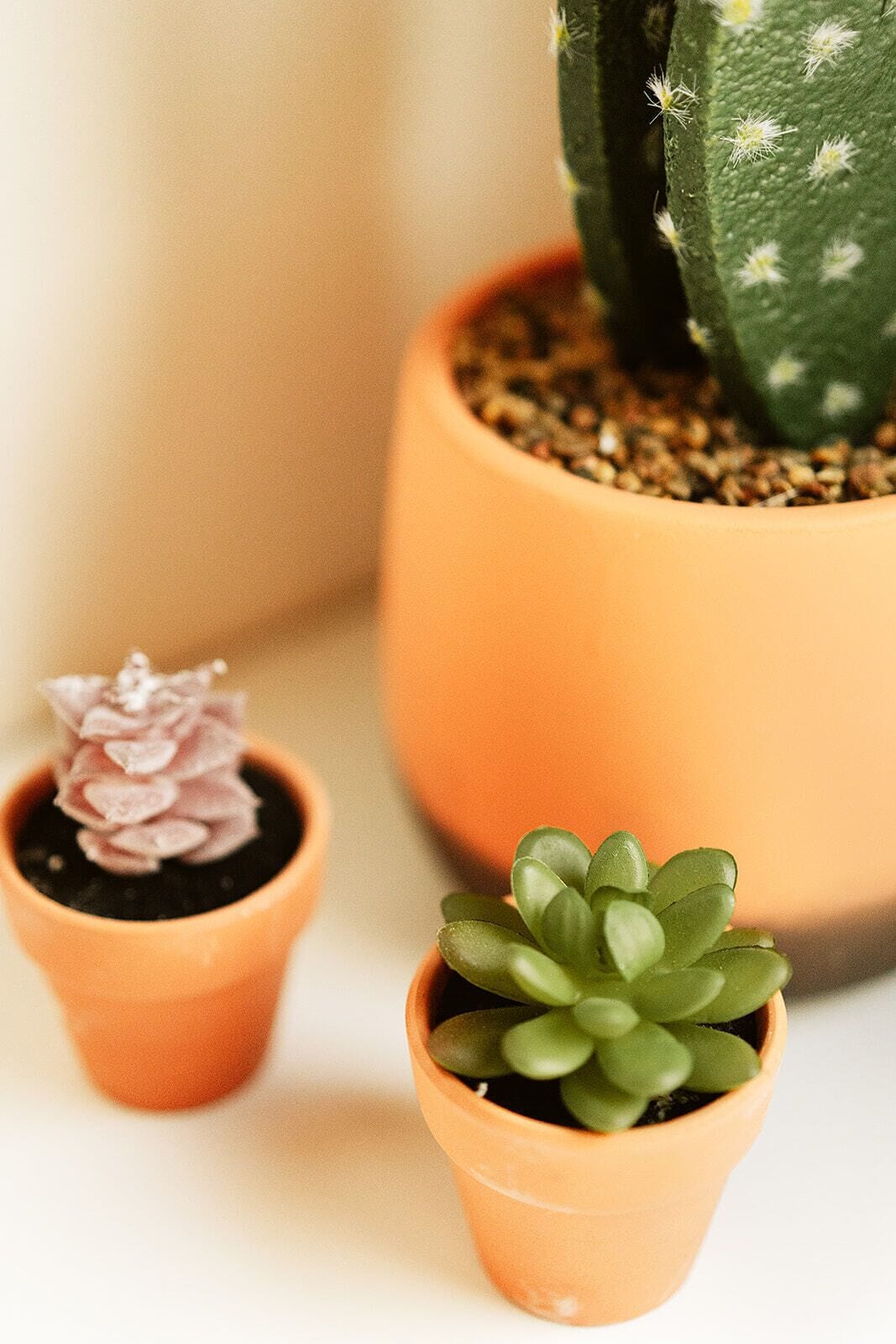 Foto - Hostal Pichorradicas