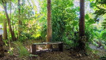 A bench in a forested area with trees and foliage.