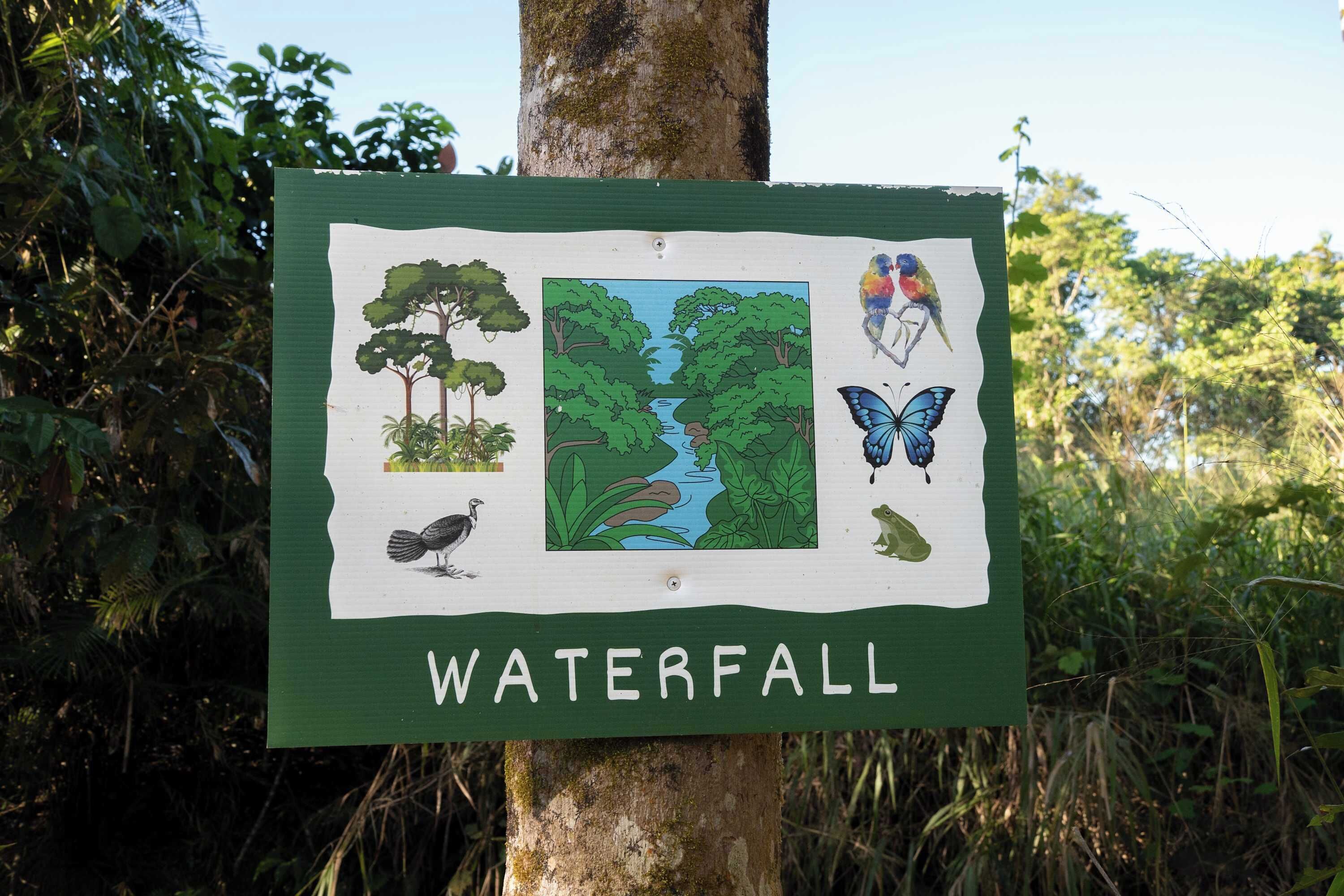 Un letrero con la palabra 'WATERFALL' e ilustraciones de un árbol, un ave, una mariposa y un río.