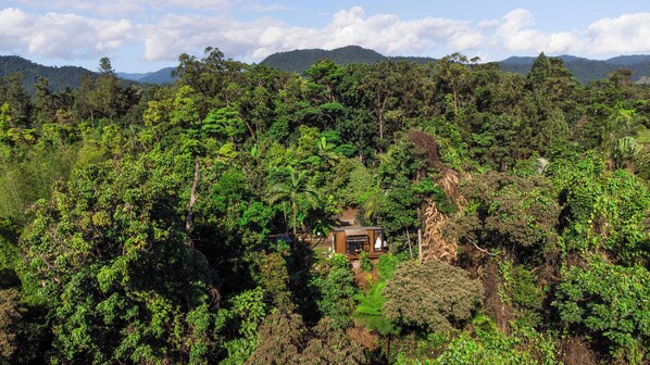 Un chalet isolé, entouré d’une forêt dense, offrant une vue dégagée sur les montagnes environnantes.
