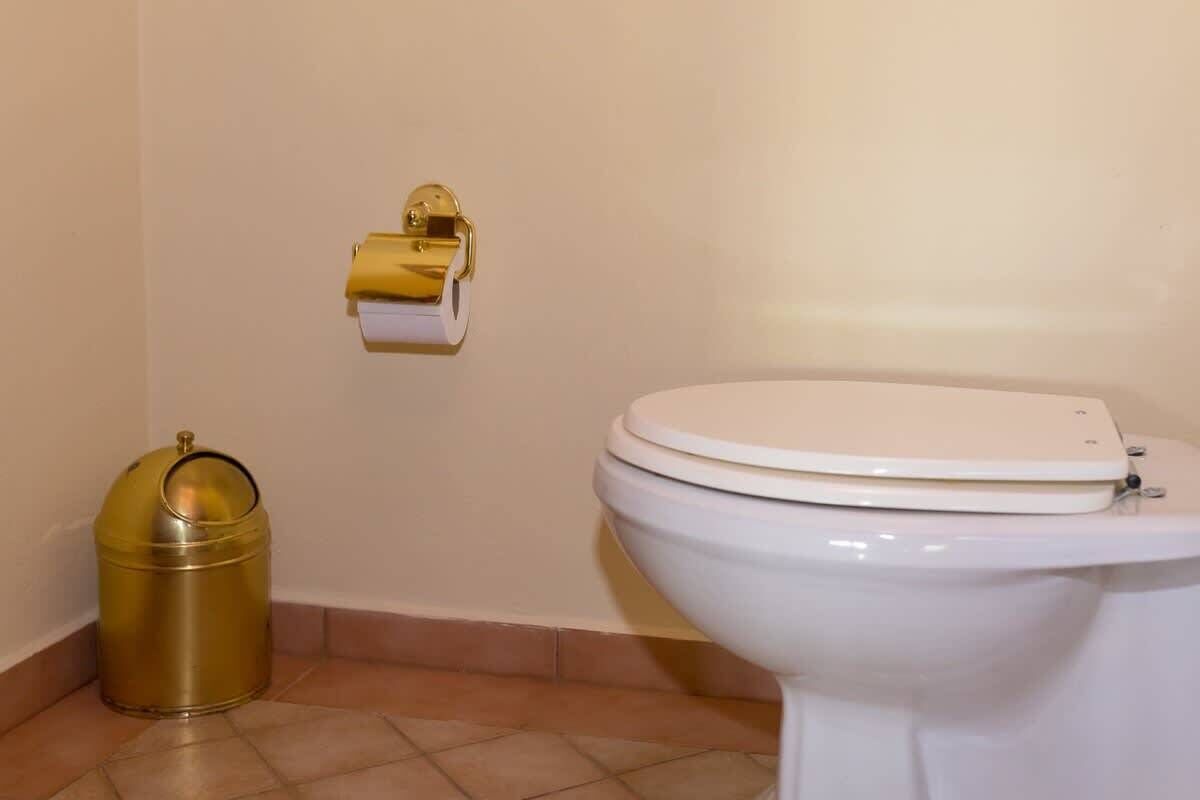 Une salle de bain avec des toilettes, une poubelle dorée et un porte-rouleau de papier toilette.