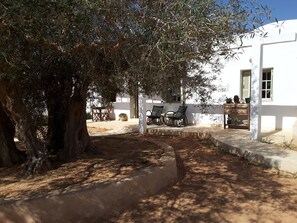 Terraza o patio
