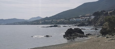 ビーチ