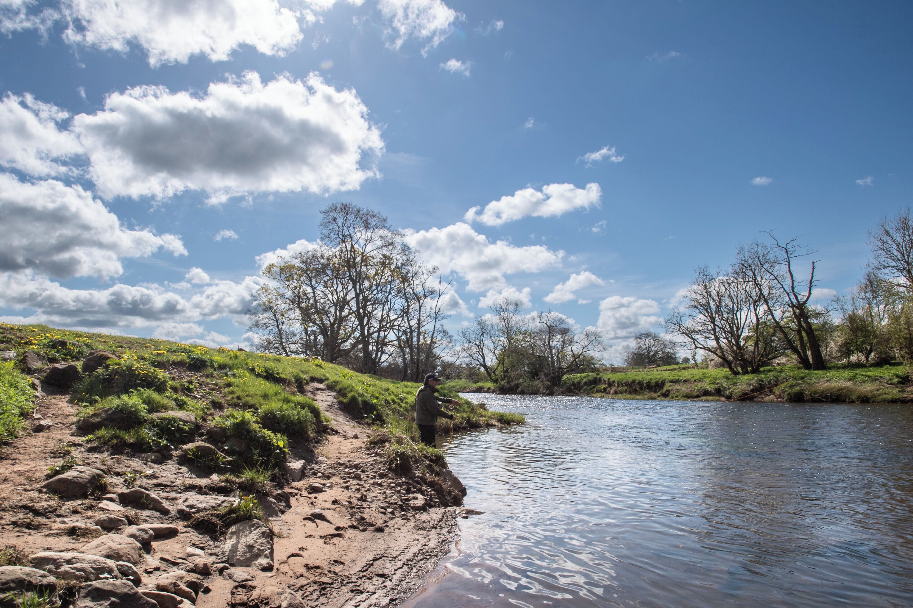 A riverbank with a person fishing, surrounded by trees and grassy areas.