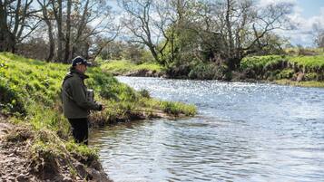 A person standing by a river with a fishing rod, surrounded by greenery and trees.
