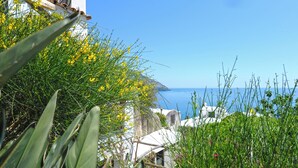 Blick auf die Küste mit blauem Himmel, einem weißen Gebäude und gelb blühenden Pflanzen.