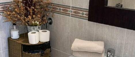 Hair dryer, towels