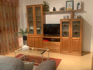 Televisión 