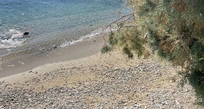 An hour from central Athens, 2 bedroom house. Salamina