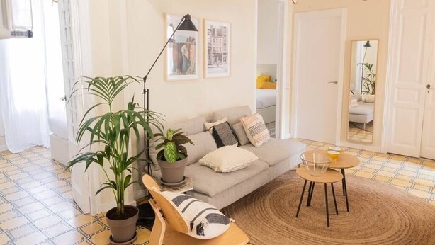 Un salon avec un canapé, deux plantes en pot, une table basse et un miroir.