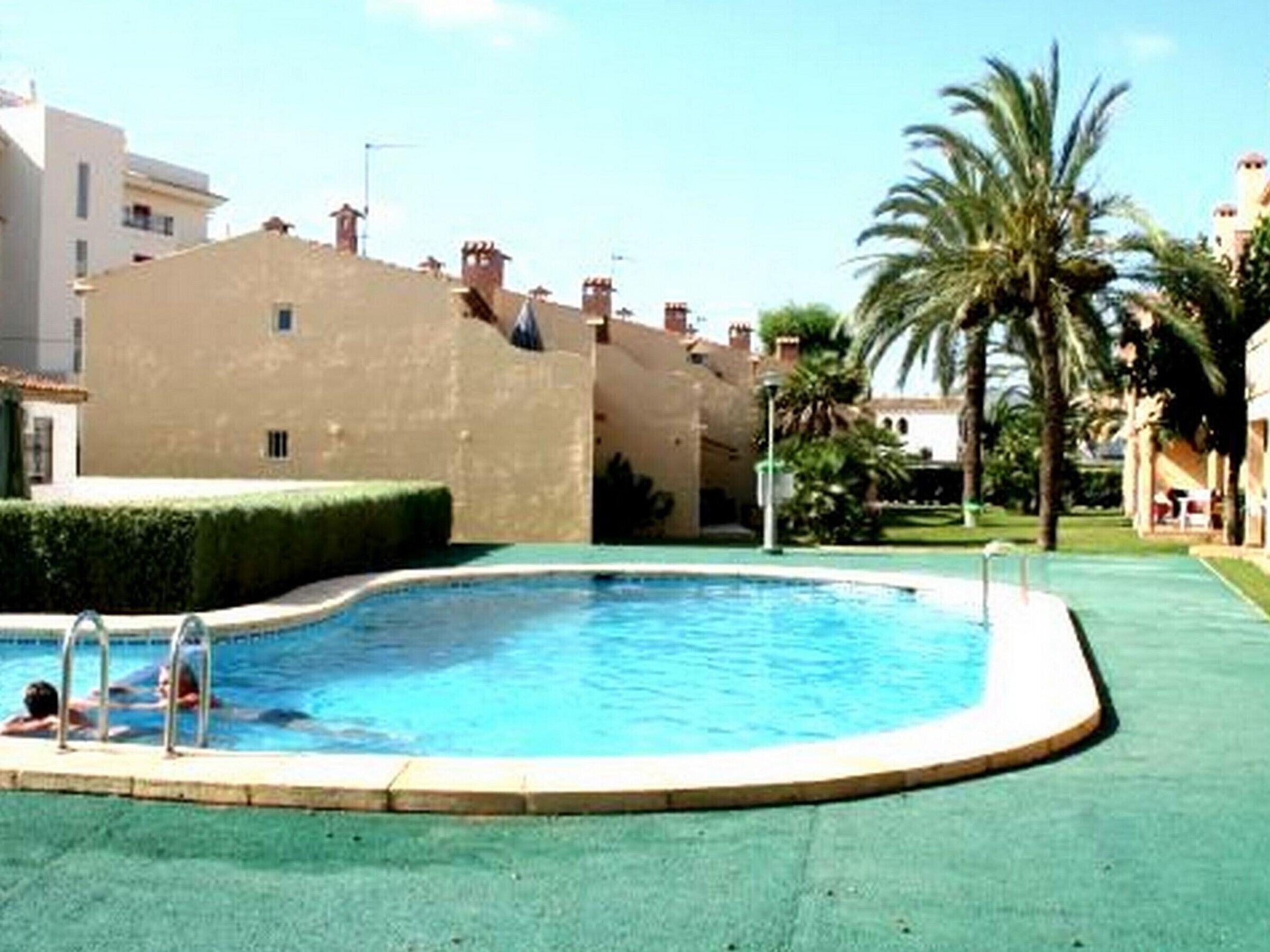 Una piscina de borde curvo, rodeada por un césped verde y palmeras.