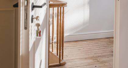 Your colourful Antwerp Oasis