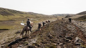 Eine Gruppe Pferde und Reiter auf einem steinigen Pfad, im Hintergrund fließt ein Fluss.