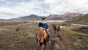 Eine Person reitet ein Pferd auf einem Feldweg, im Hintergrund sind Berge zu sehen.