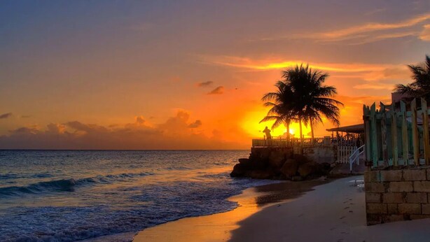 A beach scene with a sunset, palm trees, and a wooden fence. - Queen Room with Pool View (Oistins)