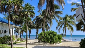Ein Strand mit Palmen, ein weißes Gebäude mit blauem Dach und einem wolkenlosen, blauen Himmel.